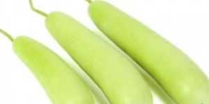 Organic Bottle Gourd