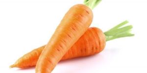 Organic Carrot
