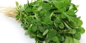 Organic Fenugreek Leaves