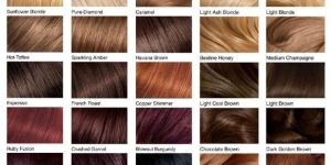 Hair Colors