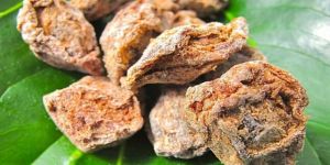 Dried Asafoetida