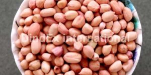 Natural Peanut Kernels