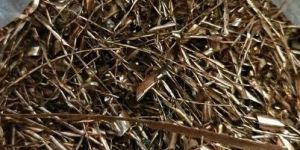 Phosphor Bronze Scrap