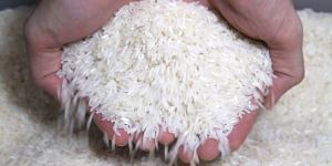 Raw Rice