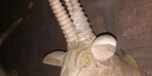 Wooden Deer Wall Decor Statue