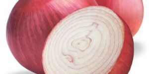 Onion