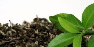 Natural Green Tea