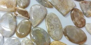Fossil Coral Gemstone
