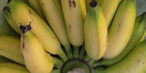 Karpooravalli Banana