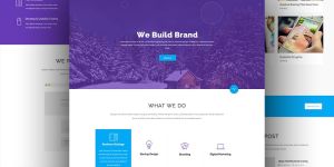 Website Development Services