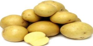 Fresh Pukhraj Potato