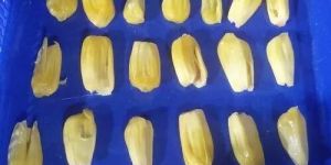 Frozen Jackfruit Slice