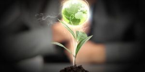 ISO 14001:2015 Certification Consulting Services