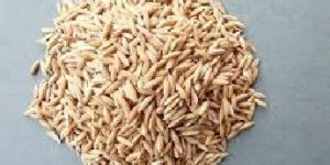 Long Grain Paddy Rice