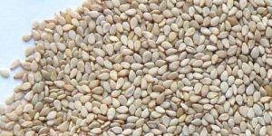 Raw Sesame Seeds