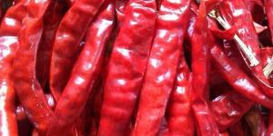 Sun Dried Red Chilli