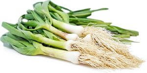 Fresh Green Garlic