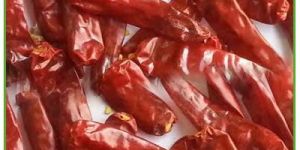 Endo-5 Dry Red Chilli