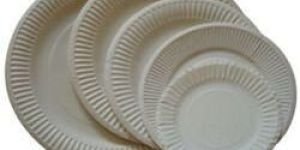 Disposable Paper Plate
