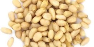 Pine Nut