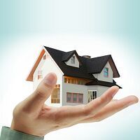 Real Estate Agent