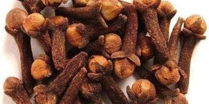 Organic Clove Seed