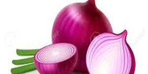 Fresh Red Onion