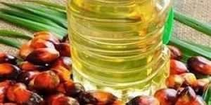 Palm Oil