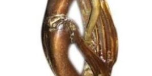 Antique Bronze Handicraft