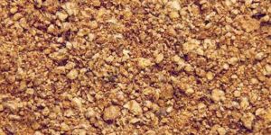 Cotton Seed Meal