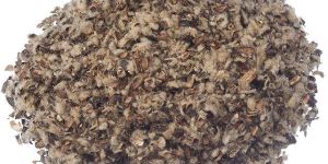 Cottonseed Hulls