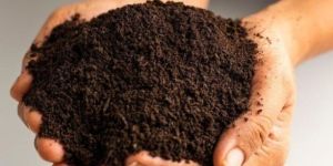 Vermicompost