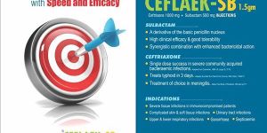 Ceflaek-SB Injection