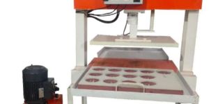 Hydraulic Scrubber and Masala Packing Machine