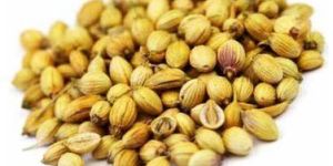 Coriander Seeds