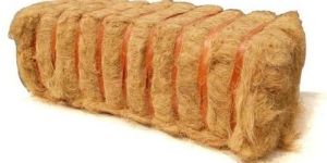 Coir Fibre