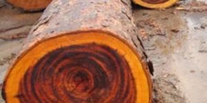 Rose Wood Round Log