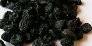 Fresh Black Raisin