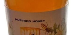 BNE Mustard Honey