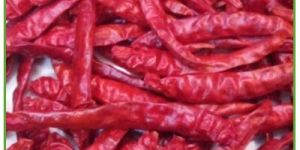 Dry Red Chilli