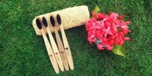 PAIVI Bamboo Toothbrush