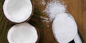 Desiccated Coconut Powder