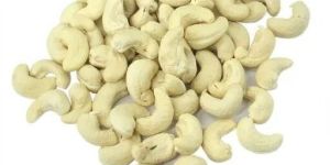 Cashew Nut
