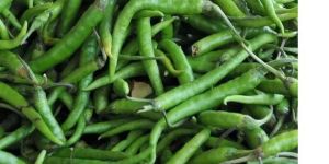 Green Chilli