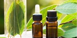 Bay Oil