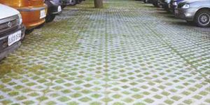 Concrete Grass Texture Pavers