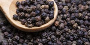 Black Pepper Seeds