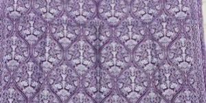 Ladies Printed Shawl