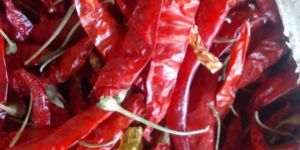 Dry Red Chilli