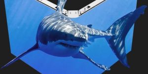 3d Video Wall Display